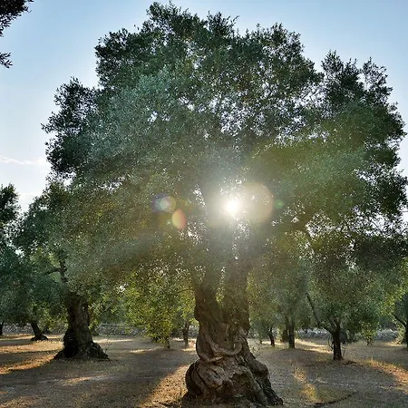 Molle Carpignano Salentino