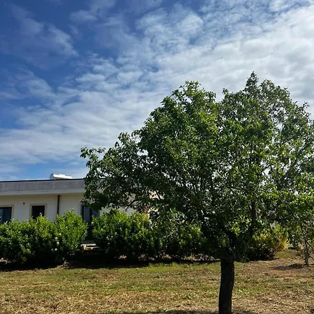 Farm stay Molle